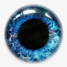 Contact Lenses Coolcontacts Blue Eyes - Blue Eye Contacts Png, Transparent Png, Transparent PNG