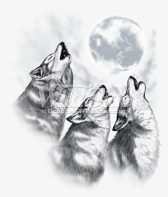 3 Wolves Howling At The Moon - Wolves Howling At The Moon Drawings, HD Png Download, Transparent PNG