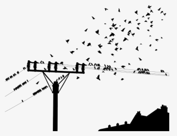 Bird On Powerline Png, Transparent Png, Transparent PNG