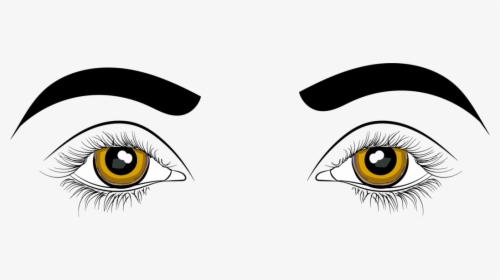 Transparent Eyes Cartoon Png - Human Eyes Clip Art, Png Download, Transparent PNG