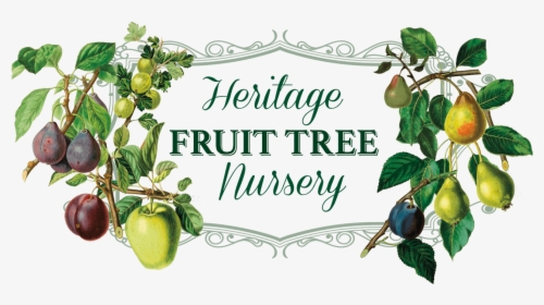 Heritage Fruit Tree Nursery Logo - Apple Trees Fruit Tree, HD Png Download, Transparent PNG