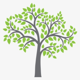 Vector Apple Tree Free Clipart , Png Download - Apple Tree Vector Png, Transparent Png, Transparent PNG