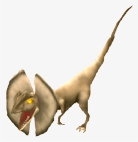 The Park Is Closed - Types Of Dinosaurs That Spit Acid, HD Png Download, Transparent PNG