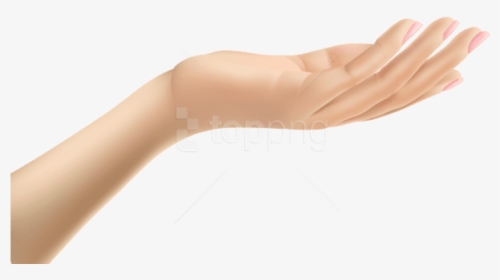 Download Female Hand - Clip Art Hands Transparent, HD Png Download, Transparent PNG