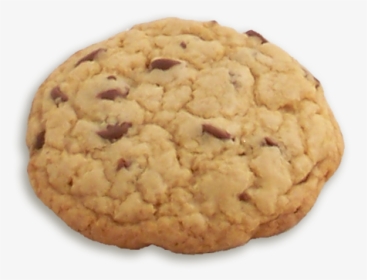 Chocolate Chip Cookie - Pignolo, HD Png Download, Transparent PNG