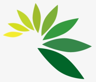 Leaf Logo Png - Green Leaf Png Logo, Transparent Png, Transparent PNG