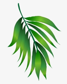 Simple Green Leaves Png Download - Simple Green Leaf Clipart With Transparent Background, Png Download, Transparent PNG