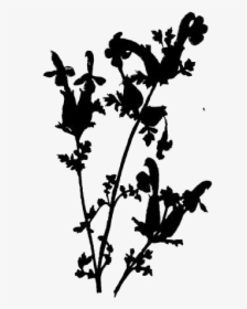 Transparent Wildflower Clipart, Wildflower Png Image - Silhouette, Png Download, Transparent PNG
