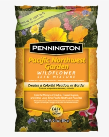 Pennington Pacific Northwest Garden Wildflower Mix - Verbena, HD Png Download, Transparent PNG