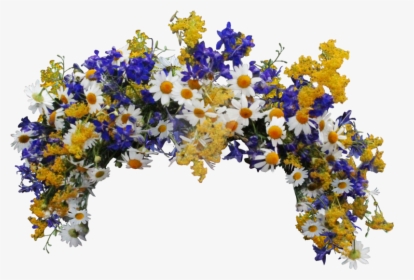#flowers #crown #flowercrown #wildflowers #daisyflower - Wildflower Flower Crown Transparent, HD Png Download, Transparent PNG