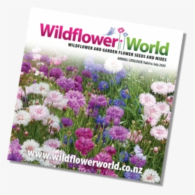 Wildflower Annual Catalogue Cover 2019 - Chrysanths, HD Png Download, Transparent PNG