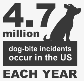 Dog Bite Statistics And Facts - Guard Dog, HD Png Download, Transparent PNG