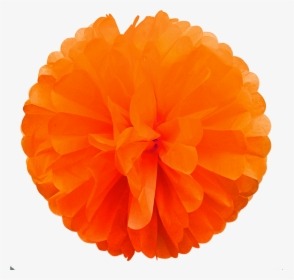 Orange Paper Pom Poms-33 - Ruffle, HD Png Download, Transparent PNG