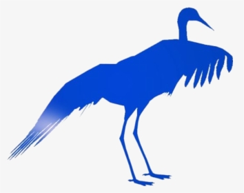 Siberian Crane Png, Transparent Siberian Crane Hd Wallpaper - Flightless Bird, Png Download, Transparent PNG