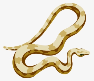 Serpent Clipart Egyptian Snake - صوره صوره Risk Hazard, HD Png Download, Transparent PNG