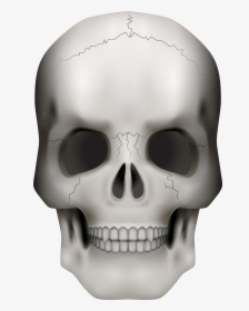Transparent Transparent Background Skull Png , Png - Transparent Background Skull Clipart, Png Download, Transparent PNG