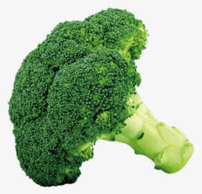 Broccoflower - Broccoli Png, Transparent Png, Transparent PNG