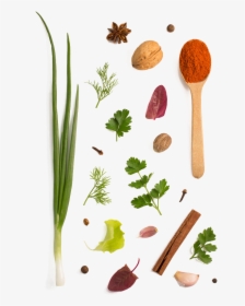 Herb Parsley Garlic Vegetable Spices Condiment Spice - Herbs And Spices Png, Transparent Png, Transparent PNG