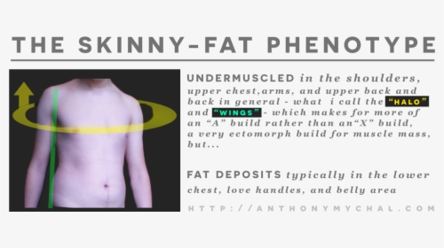 Transparent Fat Guy Png - Skinny Fat, Png Download, Transparent PNG