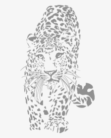 Leopard Websites & Graphic Design - Leopard Black And White, HD Png Download, Transparent PNG