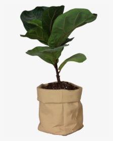 Kraft Paper Bag Design Cement Flower Pot With Paint - Houseplant, HD Png Download, Transparent PNG