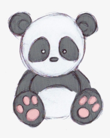 Panda And Cute Image - Panda Draw, HD Png Download, Transparent PNG