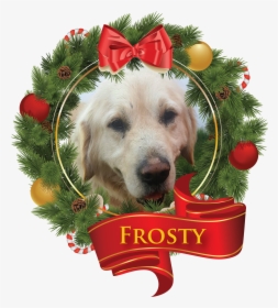 Transparent Wendy S Frosty Png - New Year, Png Download, Transparent PNG