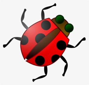 Cartoon Insect Kid Png Image Clipart - Bug Clip Art, Transparent Png, Transparent PNG