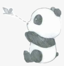 Cute Panda Tumblr Pintrest - Easy Cute Panda Drawing, HD Png Download, Transparent PNG