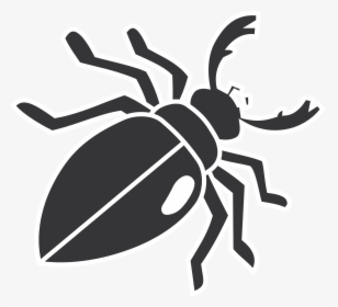 Beetle, Insect, Wings, Legs, Mandibles, Bug - Transparent Beetle Clipart, HD Png Download, Transparent PNG