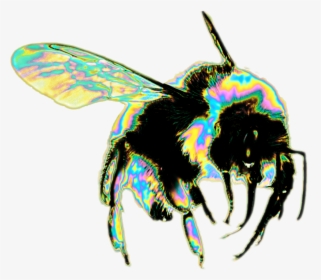 Bees Png, Transparent Png, Transparent PNG