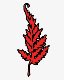 The Red Fern, HD Png Download, Transparent PNG