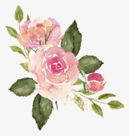 #watercolor #roses #flowers #floral #bouquet #pink - Watercolor Pink Rose Png, Transparent Png, Transparent PNG