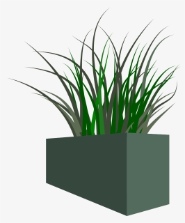 Grass In Square Planter - Transparent Png Flower Box, Png Download, Transparent PNG
