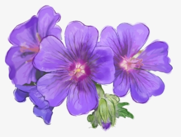 Purple Flower Bouquet, Purple Flowers, Hand Painted, - Purple Flower Transparent, HD Png Download, Transparent PNG