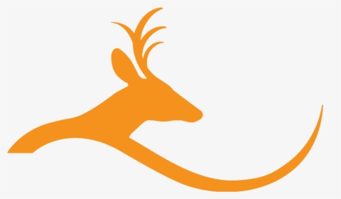 Deer Hill Expeditions - Deer Hill Expeditions Logo, HD Png Download, Transparent PNG