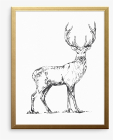 Deer Heart Art Print - Elk, HD Png Download, Transparent PNG