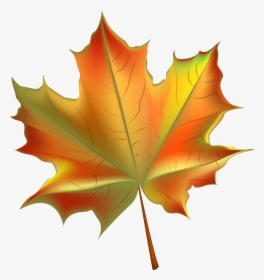 Transparent Autumn Png - Fall Leaf Clipart Transparent Background, Png Download, Transparent PNG