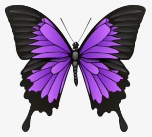 Purple Butterfly Png Clip Art, Transparent Png, Transparent PNG