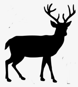 Transparent Deer Antlers Silhouette Png - Transparent Background Deer Silhouette Png, Png Download, Transparent PNG