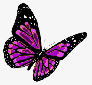 Butterflies Free Clipart Pictures - Бабочка Png, Transparent Png, Transparent PNG