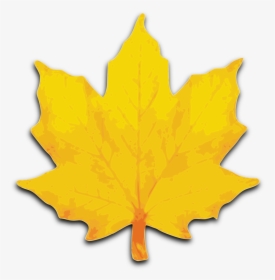 Fall Leaves Clipart Free Clipart Images - Maple Tree Leaves Clip Art, HD Png Download, Transparent PNG