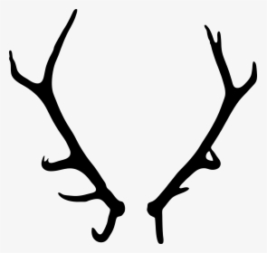Elk Deer Antler Drawing - Transparent Background Antlers Png, Png Download, Transparent PNG