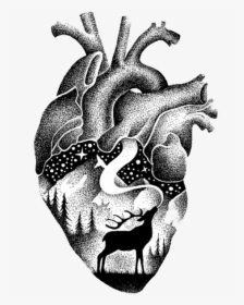 #heart #freetoedit #blackandwhite #deer #black #doodle - Drawing, HD Png Download, Transparent PNG