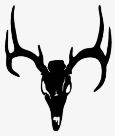 Antler Clipart Camo - Deer Skull With Transparent Background, HD Png Download, Transparent PNG