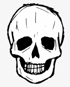 Skull Line Art Png, Transparent Png, Transparent PNG