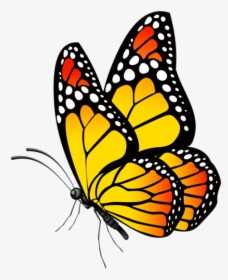 Butterfly Clip Art, Butterfly Drawing, Butterfly Painting, - Yellow Butterfly Clipart Png, Transparent Png, Transparent PNG