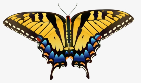 Yellow Butterfly Png Clip Art - Eastern Tiger Swallowtail Drawing, Transparent Png, Transparent PNG