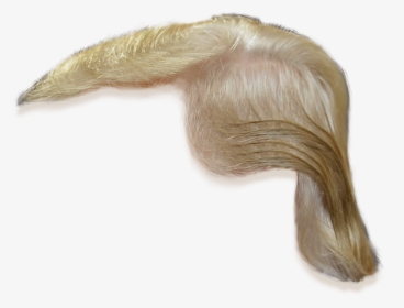 Coloring,long Hair,lace Wig,silver,fashion Accessory,artificial - Donald Trump Hair Png, Transparent Png, Transparent PNG
