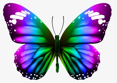 Download Butterfly Transparent Clipart Photo Top Png - Monarch Butterfly Png, Png Download, Transparent PNG